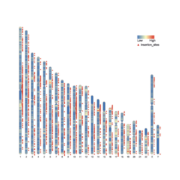 Insertion site density